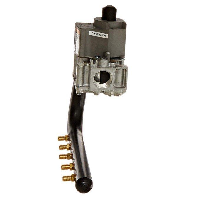 Jandy - Manifold Assembly for Legacy 125, 0 - 3,000', Natural Gas