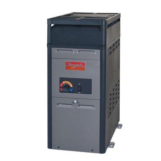 Raypak - Natural Gas, Bronze Headers with Millivolt Pilot, 105k BTU, Above Ground Pool Heater