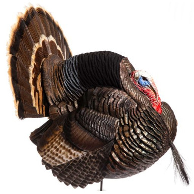 Dave Smith Decoy - Strutter Turkey Decoy