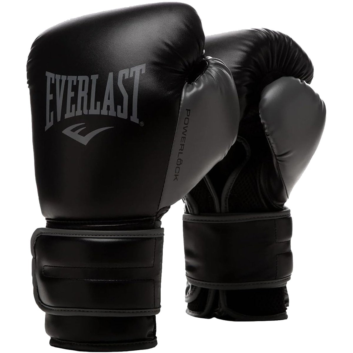Everlast Powerlock 2R Hook and Loop Training Boxing Gloves